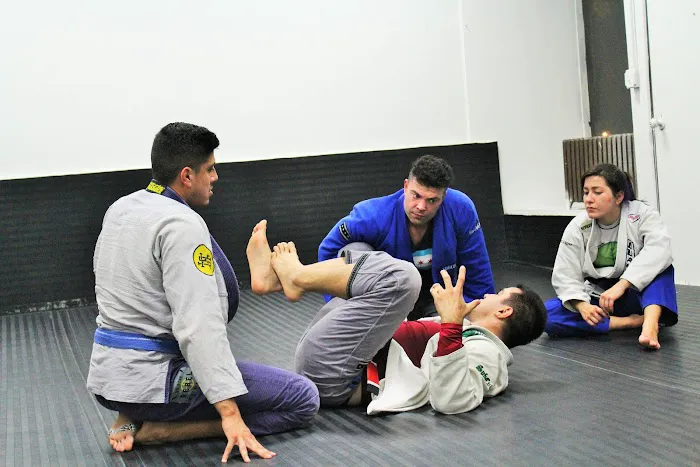 Chicago School Of Grappling Picture 4