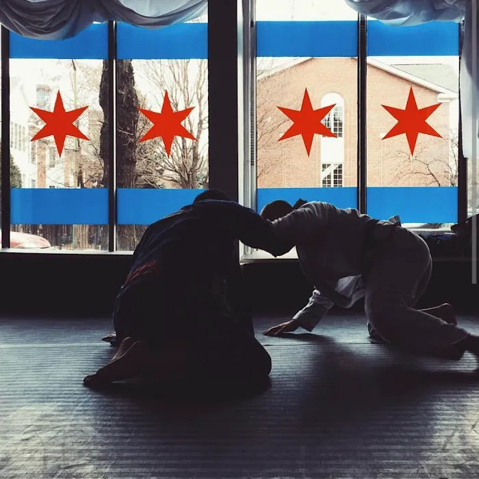 Chicago School Of Grappling Picture 8