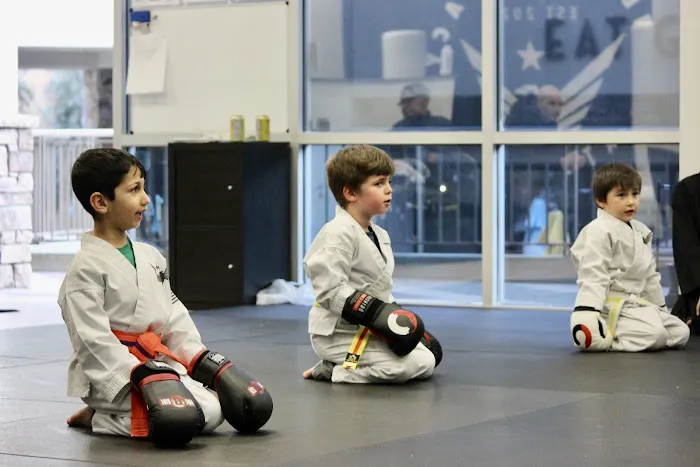 American Legacy Karate Academy Picture 7