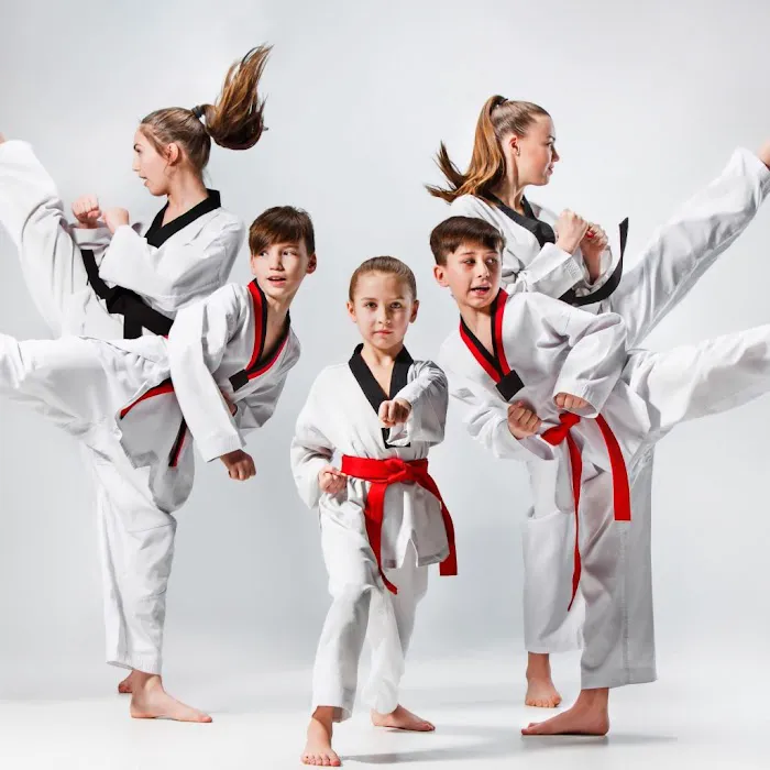 American Legacy Karate Academy Picture 8