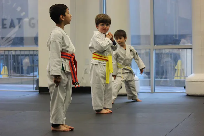 American Legacy Karate Academy Picture 1