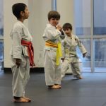 American Legacy Karate Academy