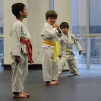 American Legacy Karate Academy ico
