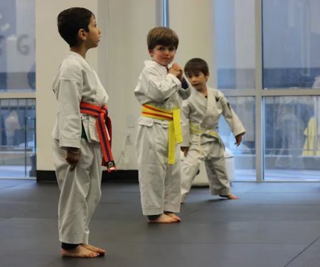 American Legacy Karate Academy