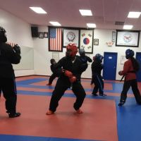Roman's Shin Karate Institute ico