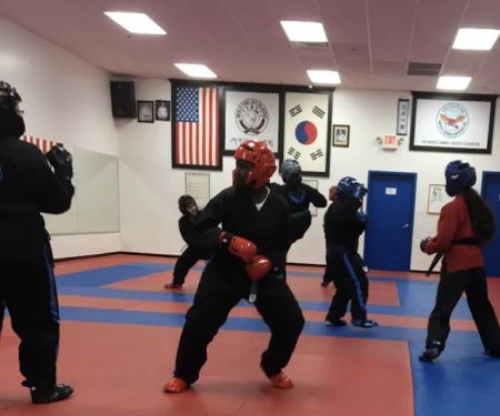 Roman's Shin Karate Institute