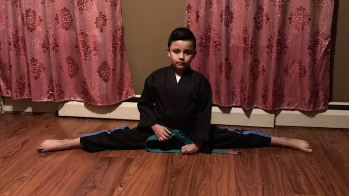 Roman's Shin Karate Institute Picture 2