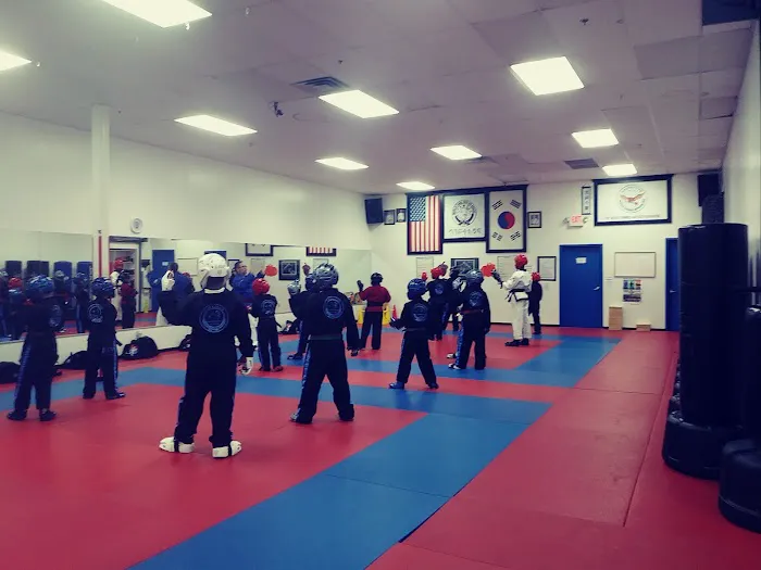 Roman's Shin Karate Institute Picture 3