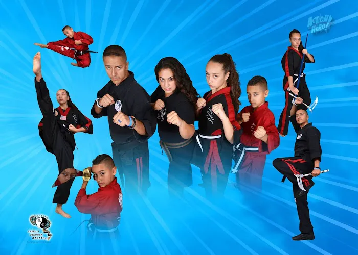 Family Dragon Martial Arts and Fitness Academy Picture 1