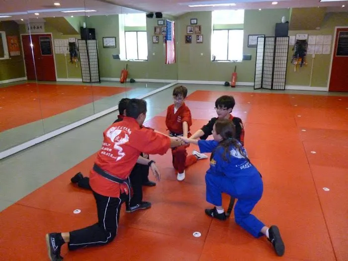 Family Dragon Martial Arts and Fitness Academy Picture 2
