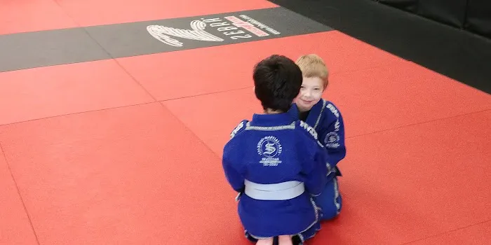 Spartan Martial Arts Gym Picture 5