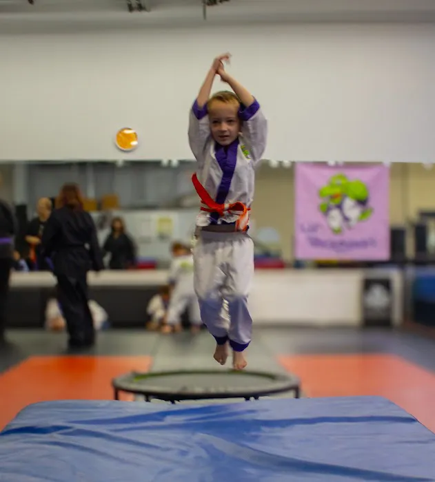 Lil' Dragons at Team Karate Centers Picture 1