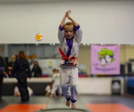 Lil' Dragons at Team Karate Centers