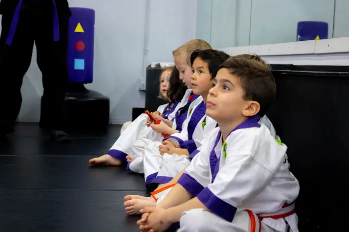 Lil' Dragons at Team Karate Centers Picture 2
