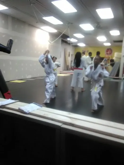 United Kempo Karate Schools Picture 1