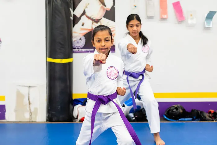 Purple Dragon International NY Picture 1