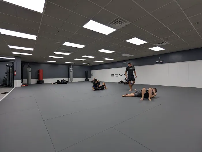 ECMMA Syosset Martial Arts Academy Picture 4