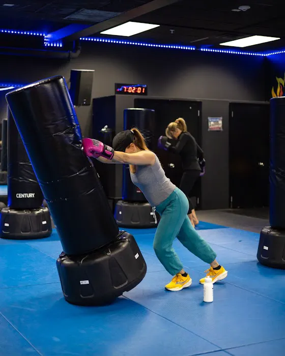 Beast Martial Arts & Fitness of Oyster Bay Picture 3