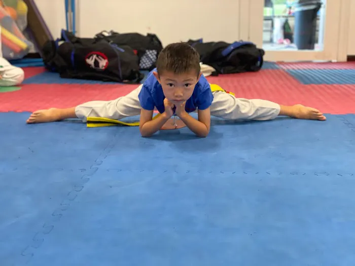 A+ Martial Arts Picture 1