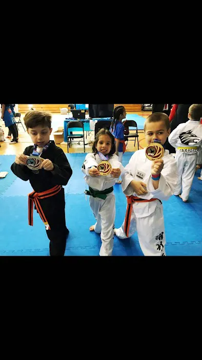 Locust Valley Martial Arts Long Island Picture 2