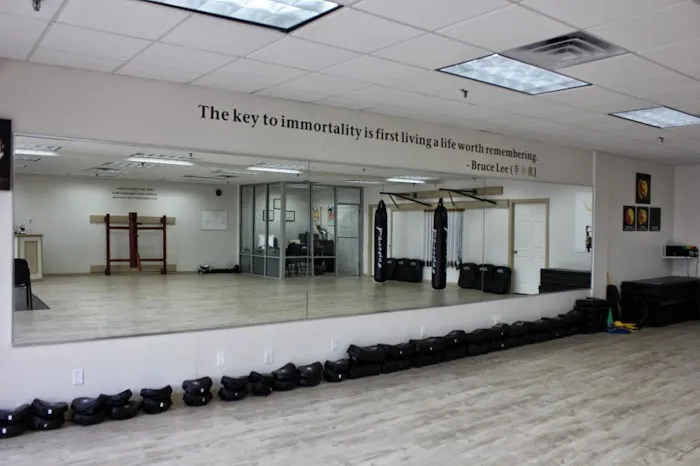 NY Martial Arts Academy Long Island Picture 1