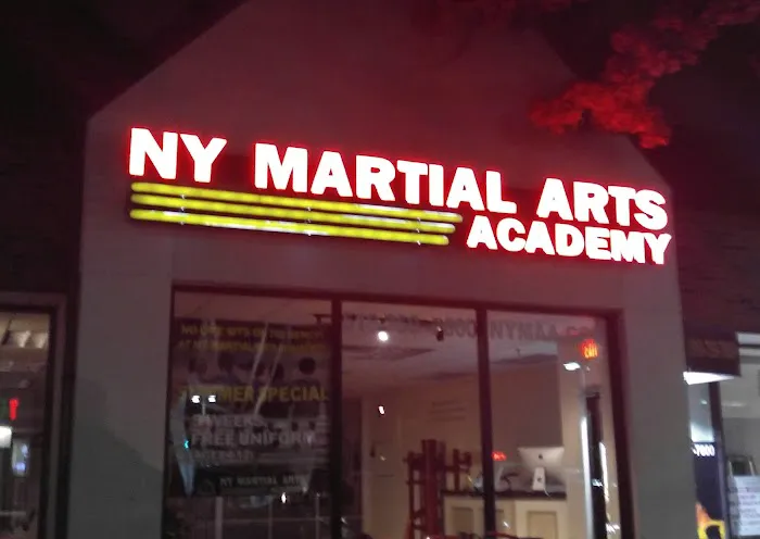 NY Martial Arts Academy Long Island Picture 2