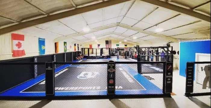Bushido Training Institute/Powersports MMA Picture 1