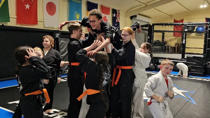 Bushido Training Institute/Powersports MMA Picture 3