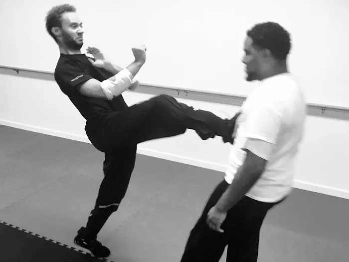 Atlanta WingChun Picture 6