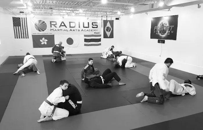 Radius Martial Arts Academy - 10th Planet Jiu Jitsu Fairfield Picture 4