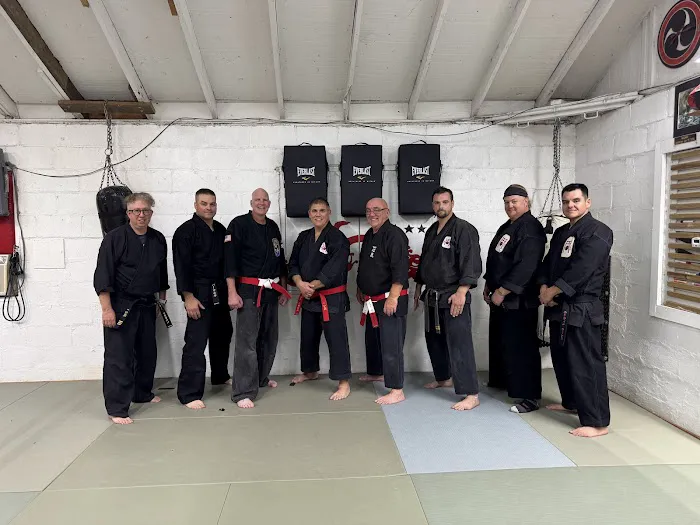 Isshinryu Karate Academy Picture 1