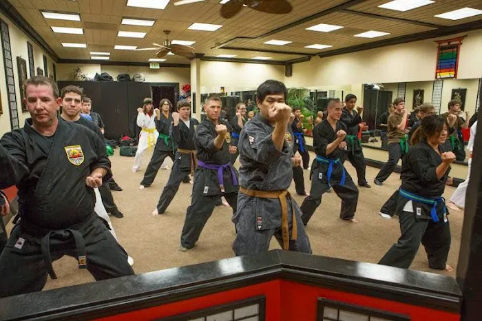 United Self Defense Academy - Mission Viejo Karate Picture 6