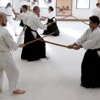Twin Cities Aikido Center ico