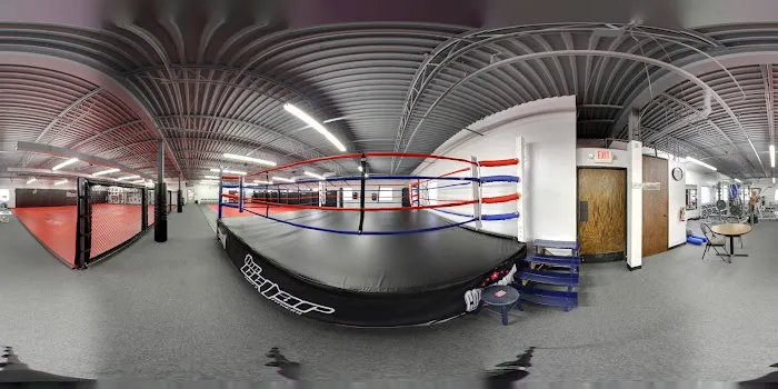The Cellar Gym Picture 4