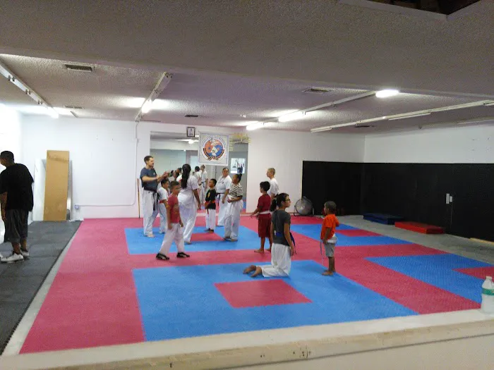 Wolf- Pack College Of Martial Arts Picture 3