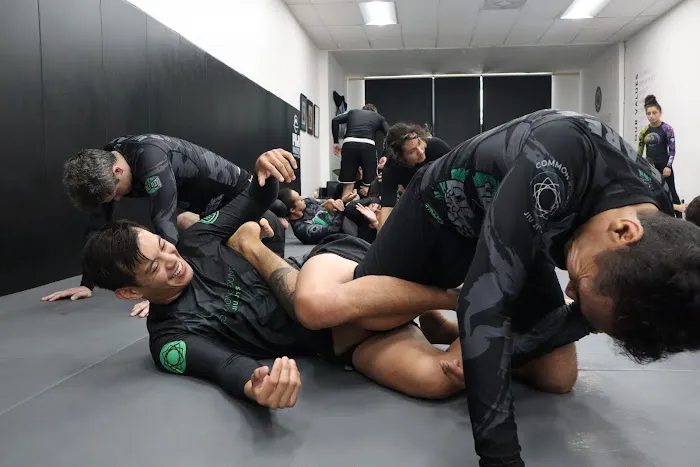 Common Ground Jiu Jitsu Picture 2