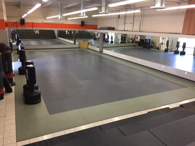 Kaizen Martial Arts & Fitness Picture 4
