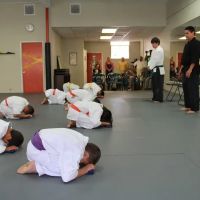 Legacy Kenpo Karate ico