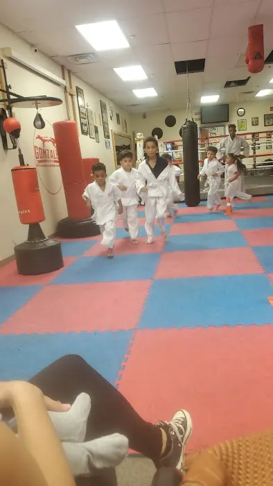 Gonzales Karate Kick Boxing Academy Picture 2