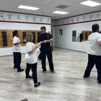 Southeast WingTsun Academy ico
