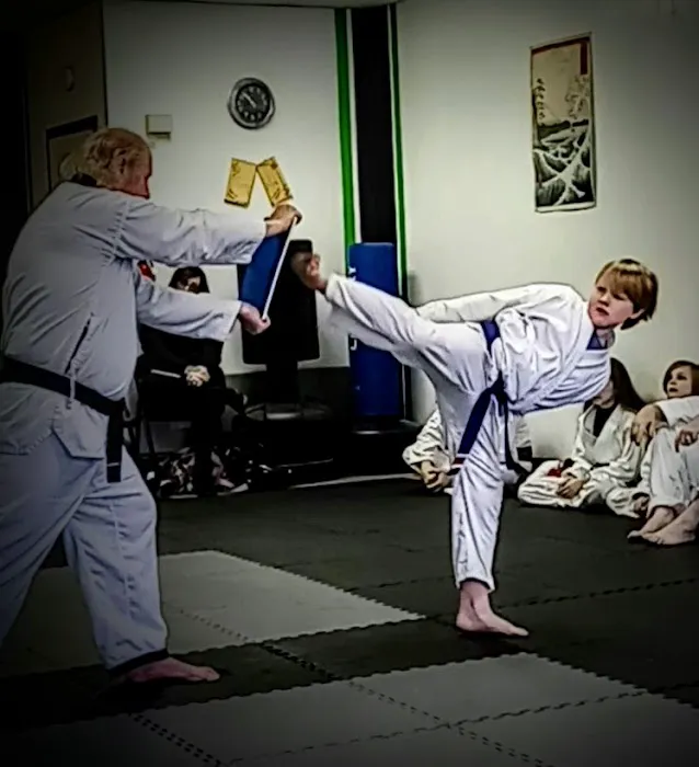 Browns Tae Kwon Do Academy Picture 3