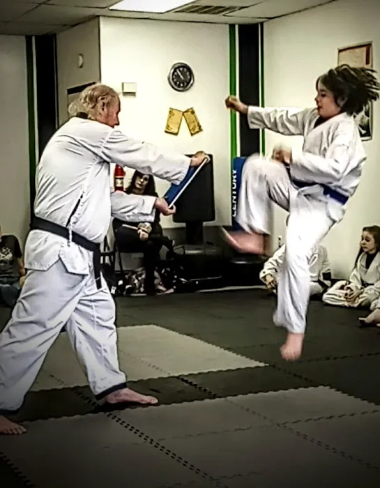 Browns Tae Kwon Do Academy Picture 4