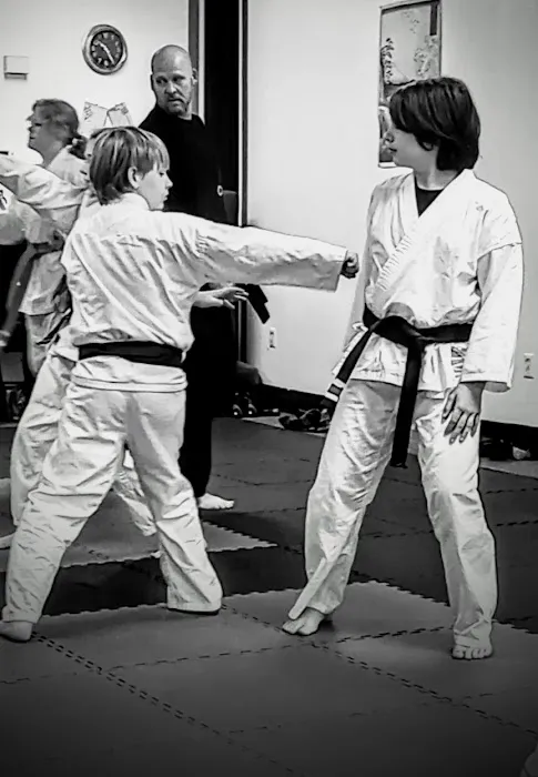 Browns Tae Kwon Do Academy Picture 5