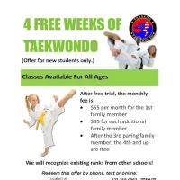 Franklin Taekwondo ico