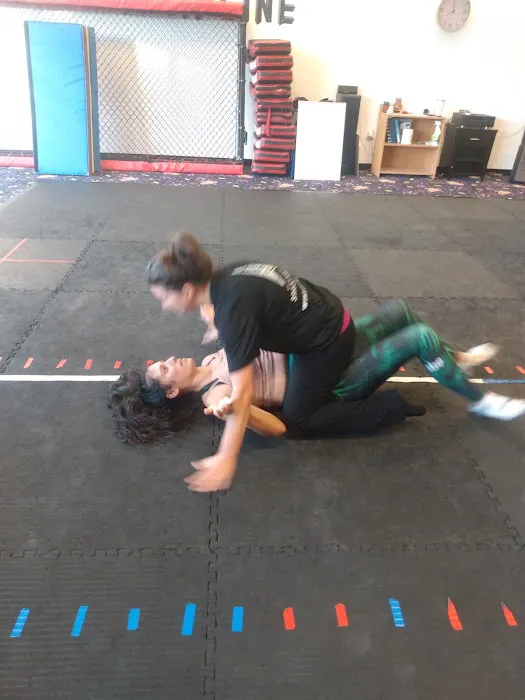 Tri-Cities Krav Maga Picture 3