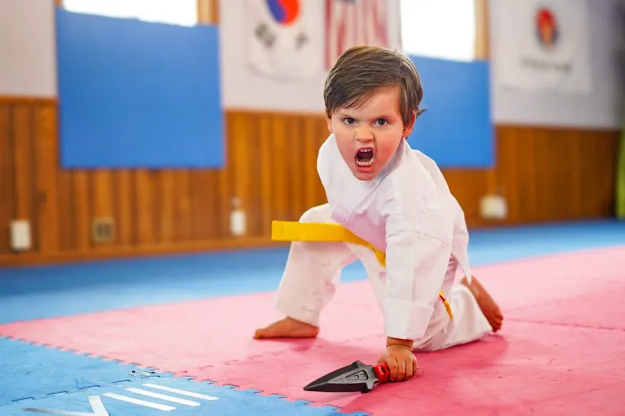 Blue Ridge Taekwondo of East Asheville Picture 6