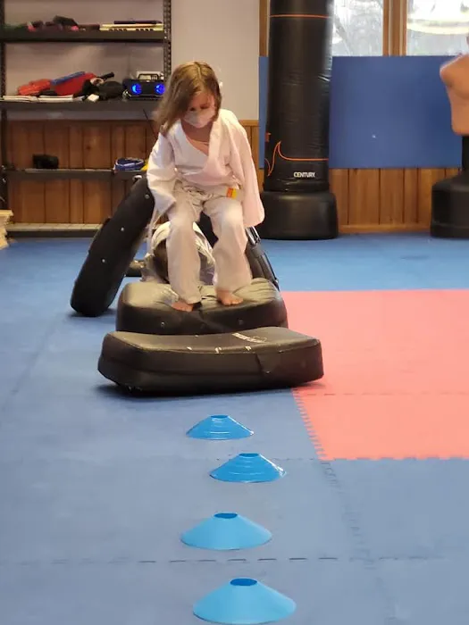 Blue Ridge Taekwondo of East Asheville Picture 3