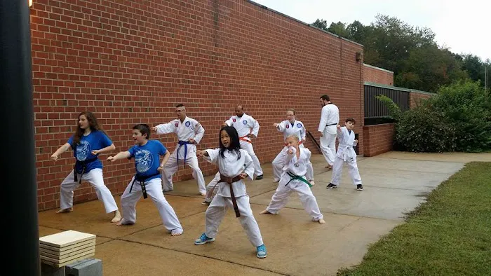 Blue Ridge Taekwondo of East Asheville Picture 5