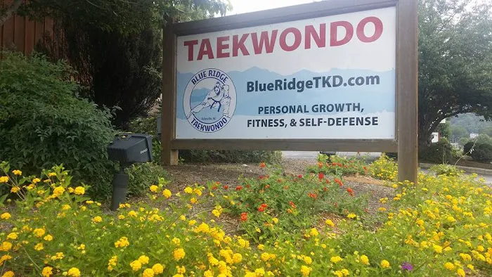 Blue Ridge Taekwondo of East Asheville Picture 8