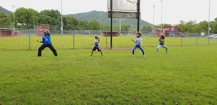 Blue Ridge Taekwondo of East Asheville Picture 10